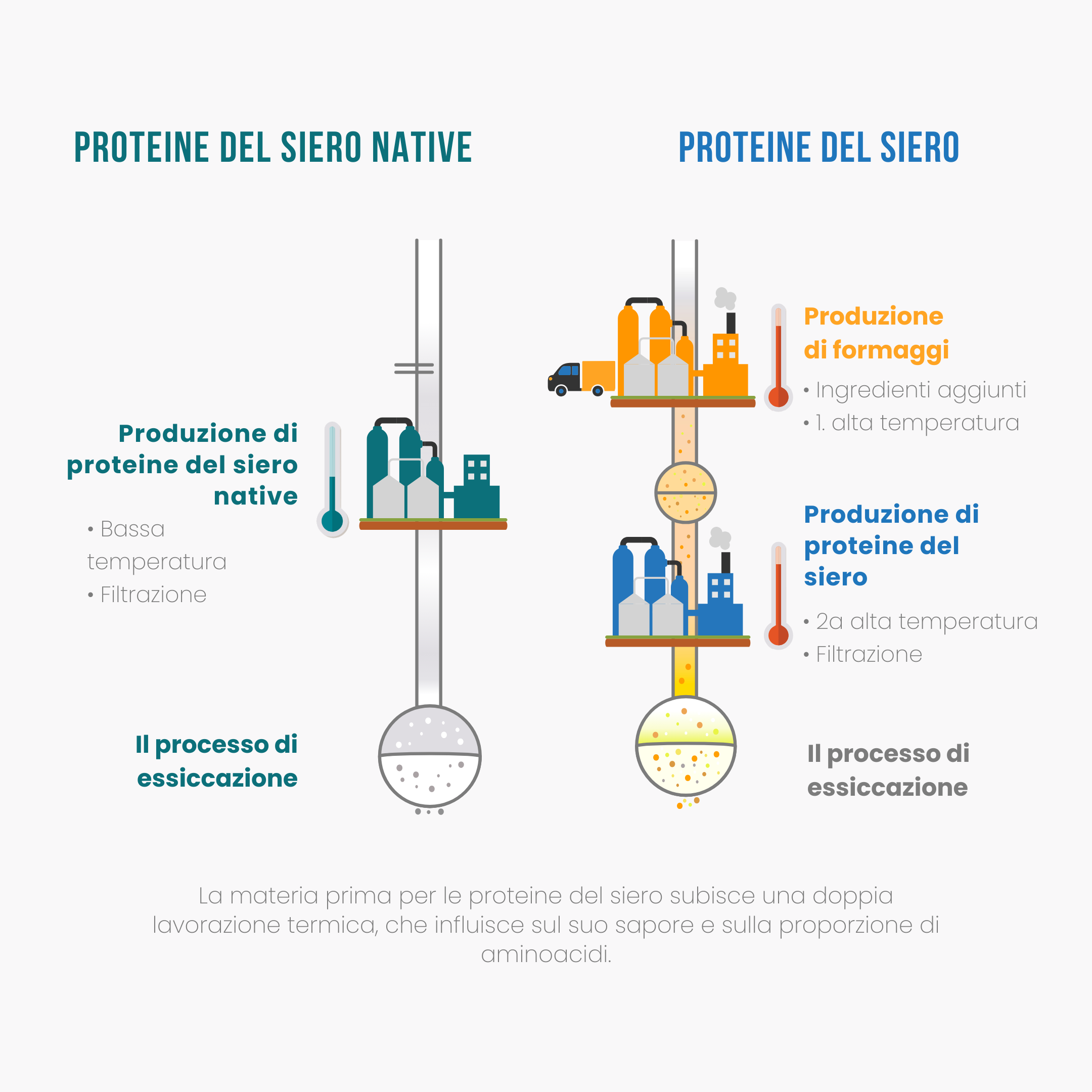 (Talianske) Vyroba proteinu